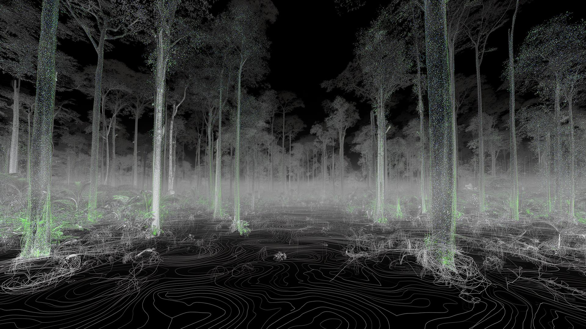 Floresta flutuante final — chamada final BiomeTrace